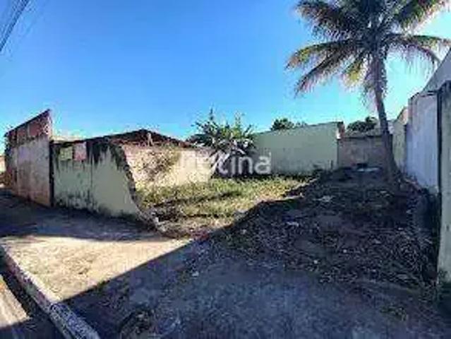 Terreno aluguel em Região Geográfica Imediata de Uberlândia, Oliveira Fortes