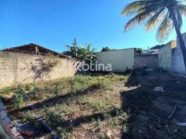 Terreno aluguel em Região Geográfica Imediata de Uberlândia, Oliveira Fortes