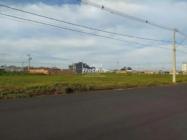 Terreno aluguel em Região Geográfica Imediata de Uberlândia, Oliveira Fortes