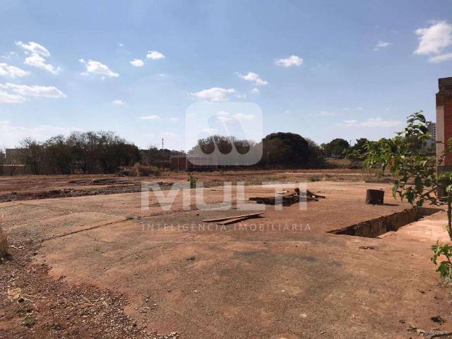 Terreno aluguel em Setor Sul, Uberlândia