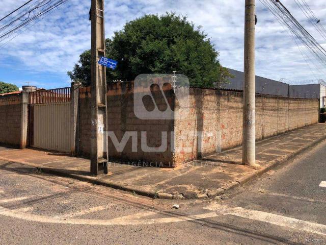 Terreno aluguel em Santa Mônica, Uberlândia