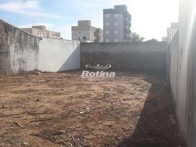 Terreno aluguel em Região Geográfica Imediata de Uberlândia, Oliveira Fortes