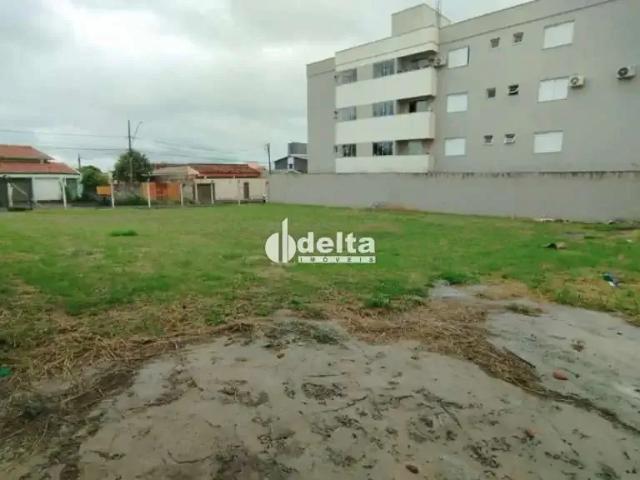 Terreno aluguel em Região Geográfica Imediata de Uberlândia, Oliveira Fortes