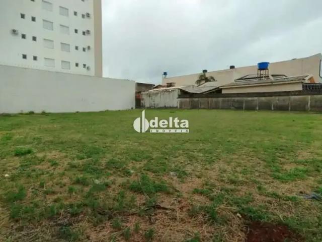 Terreno aluguel em Região Geográfica Imediata de Uberlândia, Oliveira Fortes