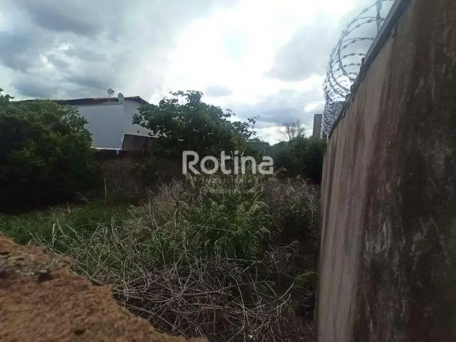 Terreno aluguel em Região Geográfica Imediata de Uberlândia, Oliveira Fortes