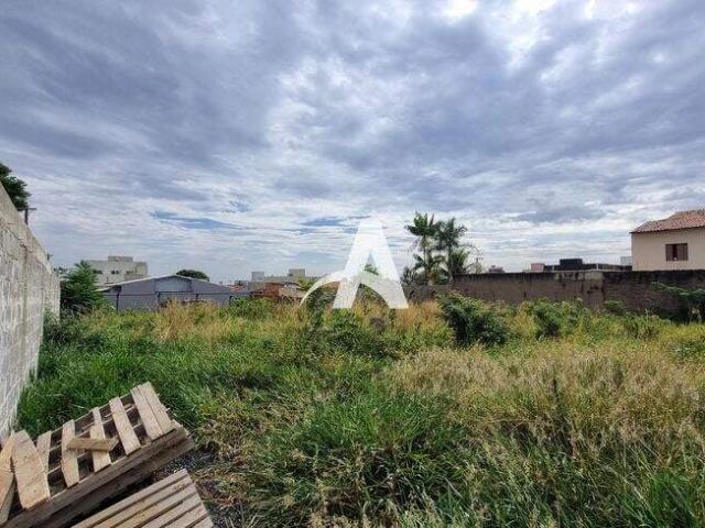 Terreno aluguel em Segismundo Pereira, Uberlândia