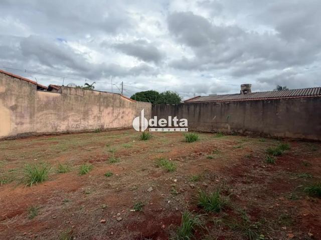 Terreno aluguel em Santa Mônica, Uberlândia