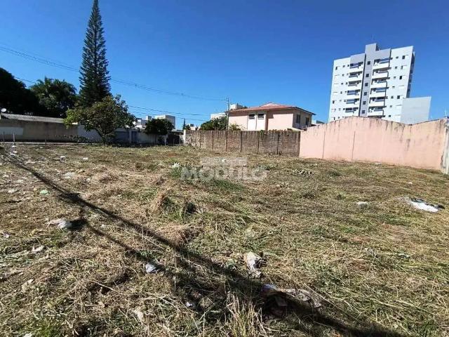 Terreno aluguel em Região Geográfica Imediata de Uberlândia, Oliveira Fortes