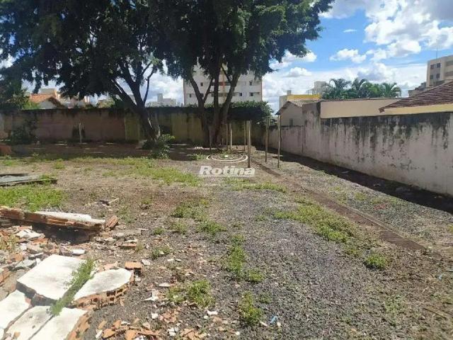 Terreno aluguel em Região Geográfica Imediata de Uberlândia, Oliveira Fortes
