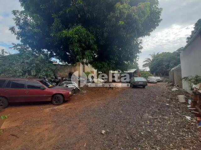 Terreno aluguel em Região Geográfica Imediata de Uberlândia, Oliveira Fortes