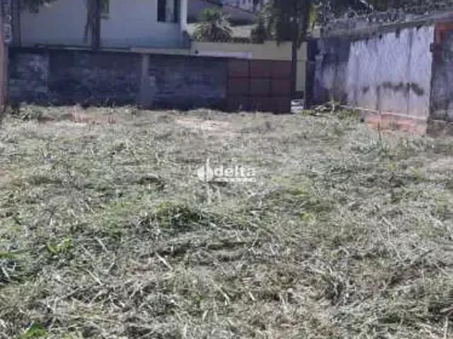 Terreno aluguel em Região Geográfica Imediata de Uberlândia, Oliveira Fortes