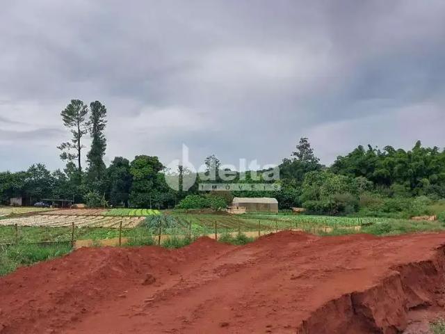 Terreno aluguel em Região Geográfica Imediata de Uberlândia, Oliveira Fortes