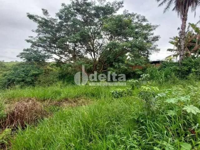Terreno aluguel em Região Geográfica Imediata de Uberlândia, Oliveira Fortes