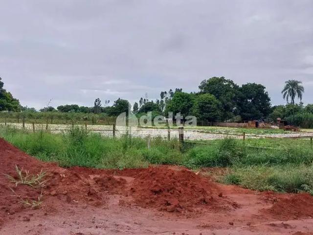 Terreno aluguel em Região Geográfica Imediata de Uberlândia, Oliveira Fortes