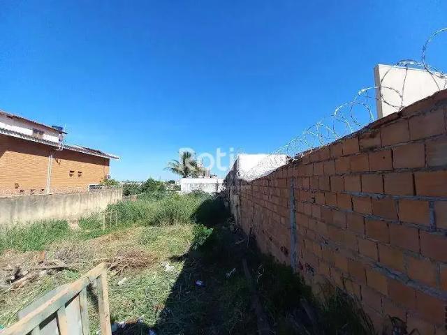 Terreno aluguel em Região Geográfica Imediata de Uberlândia, Oliveira Fortes