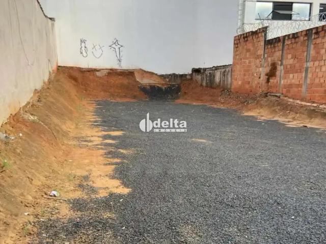 Terreno aluguel em Região Geográfica Imediata de Uberlândia, Oliveira Fortes