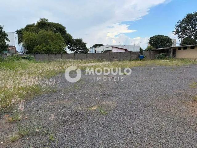 Terreno aluguel em Região Geográfica Imediata de Uberlândia, Oliveira Fortes