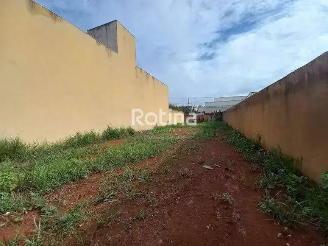 Terreno aluguel em Região Geográfica Imediata de Uberlândia, Oliveira Fortes