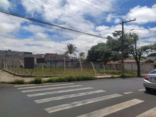 Terreno aluguel em Região Geográfica Imediata de Uberlândia, Oliveira Fortes