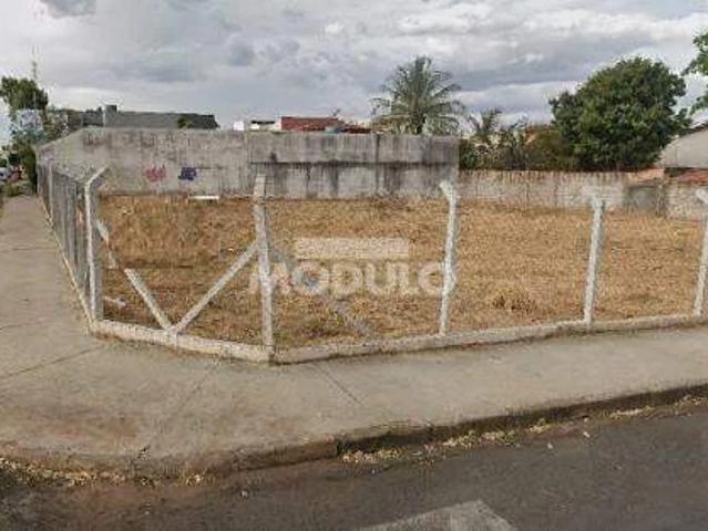 Terreno aluguel em Região Geográfica Imediata de Uberlândia, Oliveira Fortes
