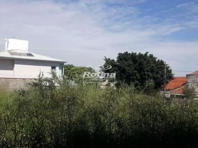 Terreno aluguel em Região Geográfica Imediata de Uberlândia, Oliveira Fortes