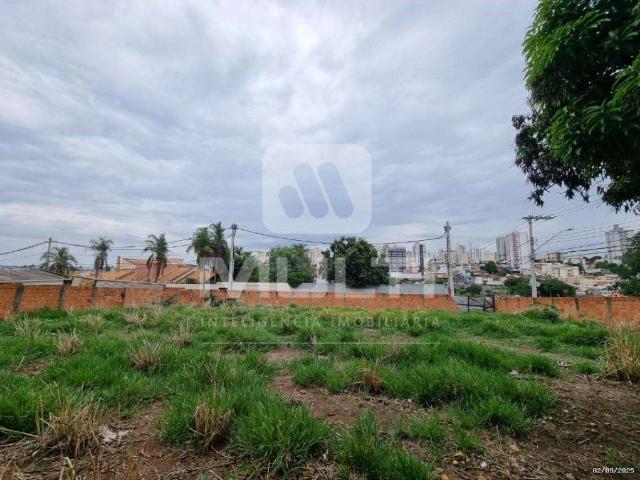 Terreno aluguel em Setor Central, Uberlândia
