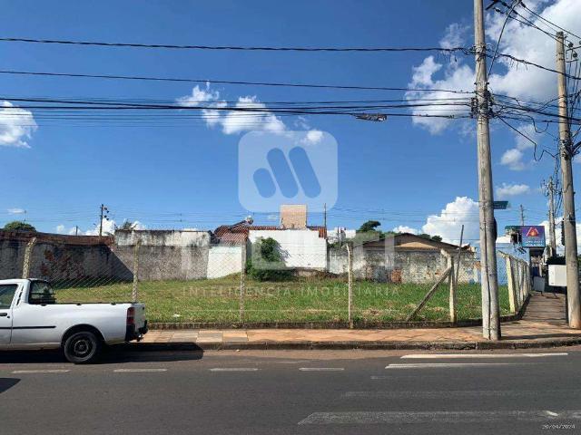 Terreno aluguel em Setor Central, Uberlândia
