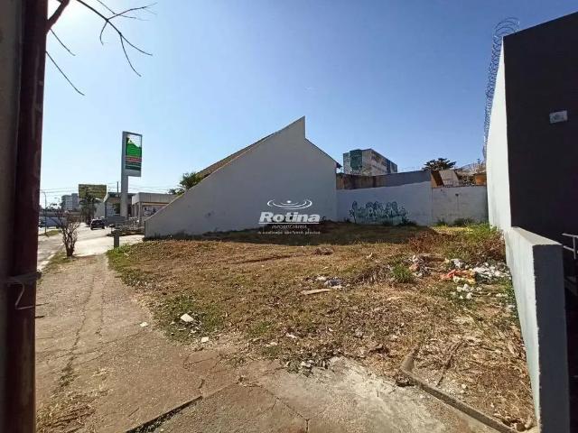 Terreno aluguel em Região Geográfica Imediata de Uberlândia, Oliveira Fortes