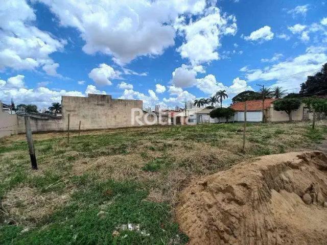 Terreno aluguel em Região Geográfica Imediata de Uberlândia, Oliveira Fortes