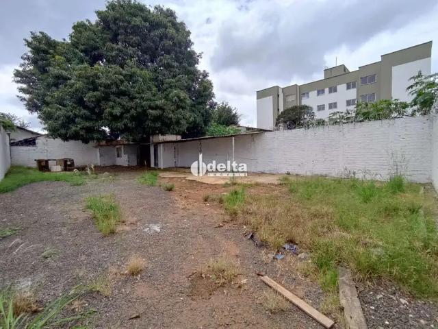 Terreno aluguel em Região Geográfica Imediata de Uberlândia, Oliveira Fortes