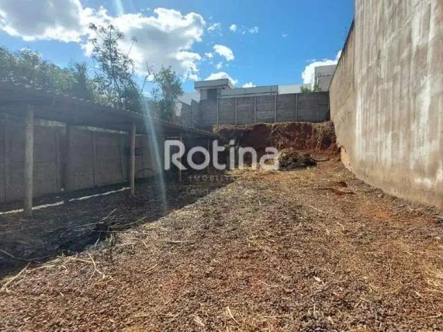 Terreno aluguel em Região Geográfica Imediata de Uberlândia, Oliveira Fortes