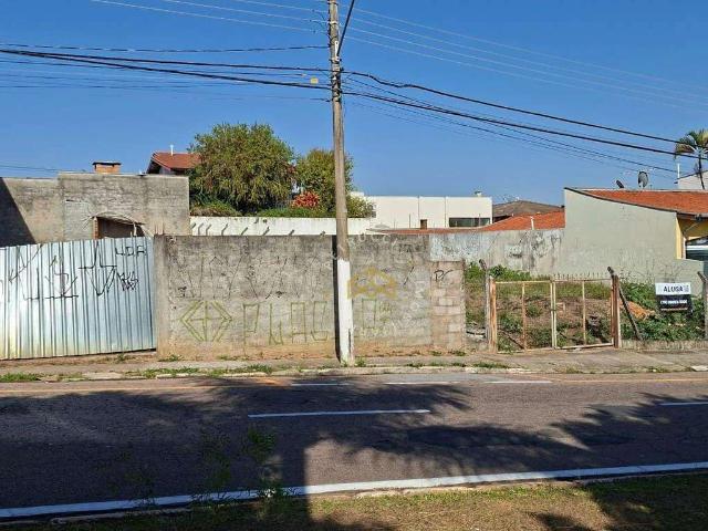 Terreno aluguel em Residencial São Luiz, Valinhos