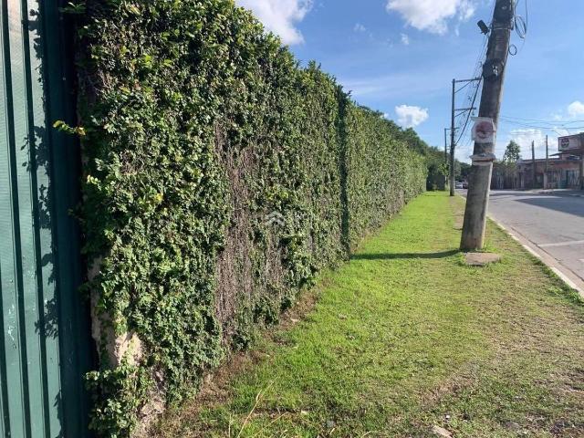 Terreno aluguel em Vargem Grande Paulista, Região Geográfica Intermediária de São Paulo