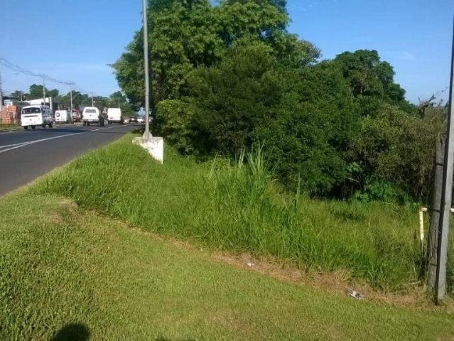 Terreno aluguel em Nossa Senhora de Fátima, Viamão