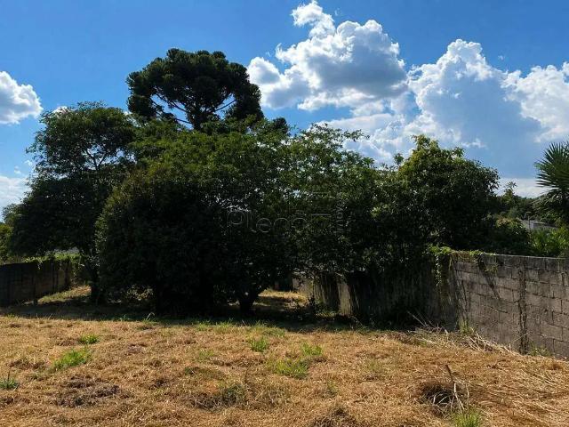 Terreno aluguel em Região Imediata de Campinas, Região Metropolitana de Campinas