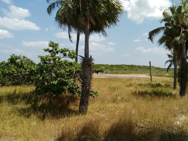 Terreno venda em Região Geográfica Imediata de Acaraú, Acaraú