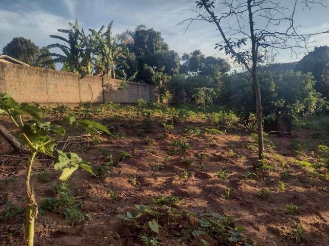 Terreno venda em Região Imediata de Bauru, Agudos