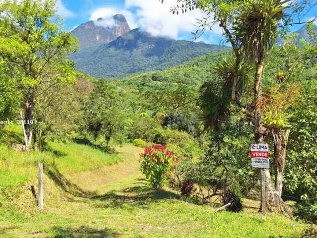 Terreno venda em Região Geográfica Imediata de Paranaguá, Antonina