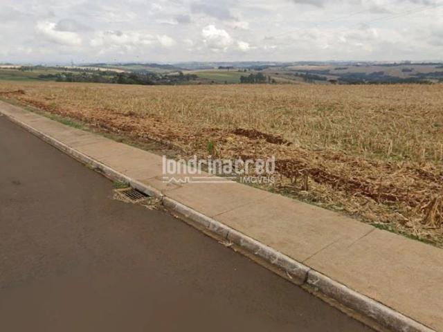 Terreno venda em Apucarana, Região Geográfica Intermediária de Londrina