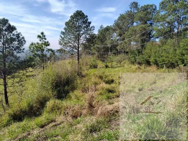 Terreno venda em Região Imediata de Sorocaba, Região Metropolitana de Sorocaba