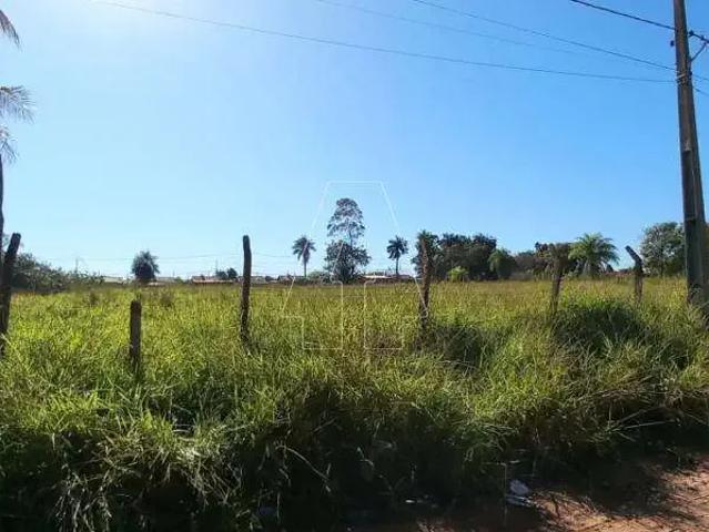 Terreno venda em Região Imediata de Araçatuba, Araçatuba