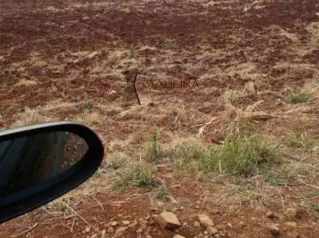 Terreno venda em Região Geográfica Imediata de Londrina, Arapongas