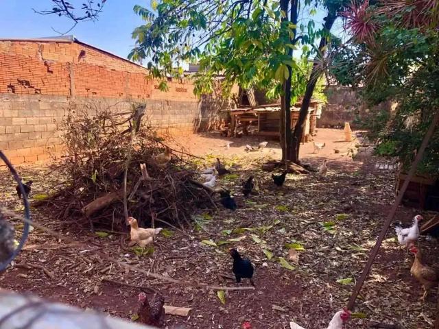 Terreno venda em Região Imediata de Araraquara, Araraquara