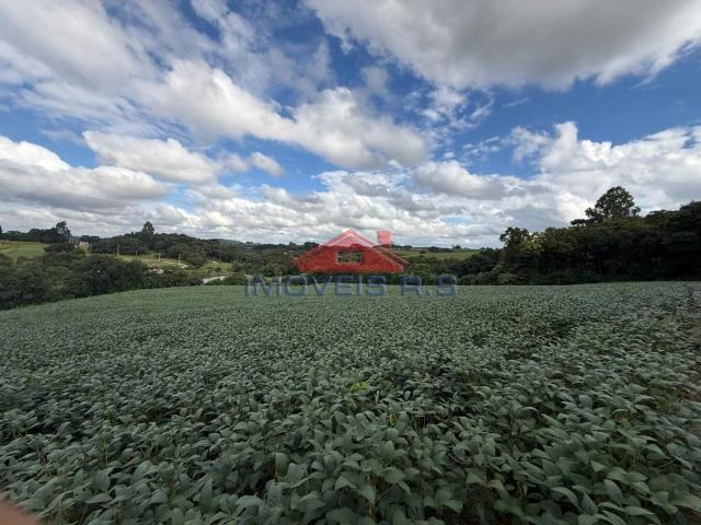Terreno venda em Araucária, Região Geográfica Intermediária de Curitiba
