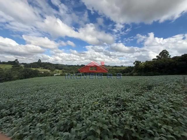 Terreno venda em Região Geográfica Imediata de Curitiba, Região Metropolitana de Curitiba