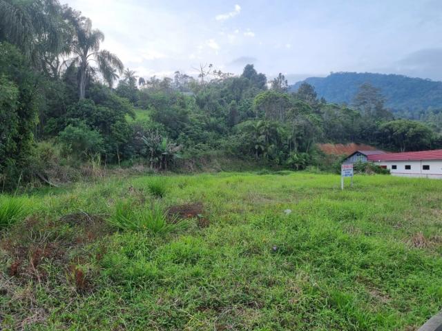 Terreno venda em Ascurra, Região Geográfica Intermediária de Blumenau