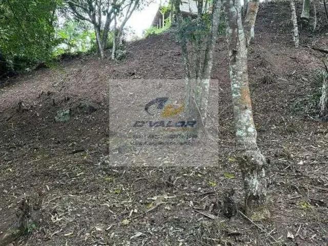 Terreno venda em Região Geográfica Imediata de Guarabira, Bananeiras