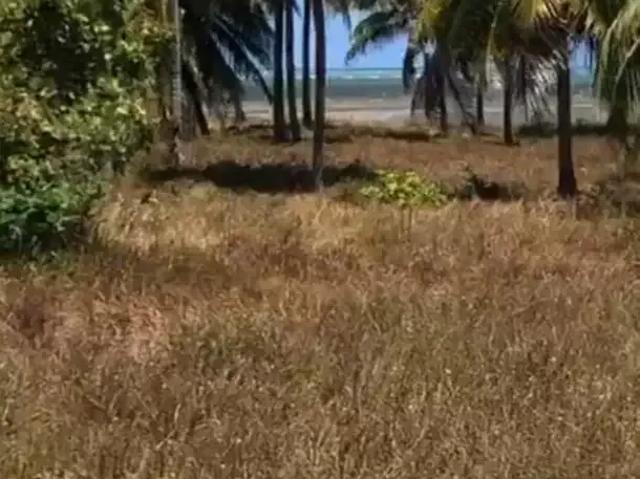 Terreno venda em Região Geográfica Imediata de Maceió, Barra de Santo Antônio