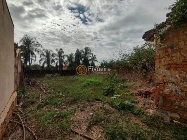 Terreno venda em Barretos, Região Geográfica Intermediária de Ribeirão Preto