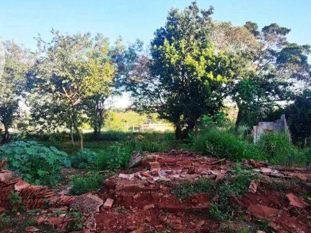 Terreno venda em Região Imediata de Barretos, Barretos